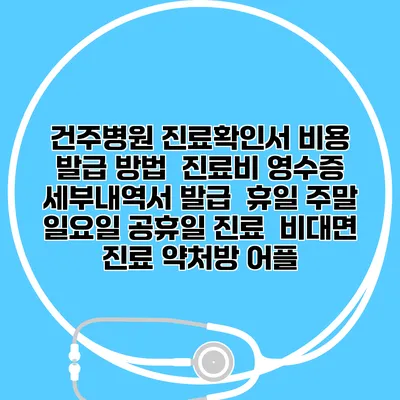 건주병원 진료확인서 비용 발급 방법 | 진료비 영수증 세부내역서 발급 | 휴일 주말 일요일 공휴일 진료 | 비대면 진료 약처방 어플