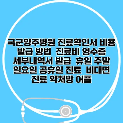 국군양주병원 진료확인서 비용 발급 방법 | 진료비 영수증 세부내역서 발급 | 휴일 주말 일요일 공휴일 진료 | 비대면 진료 약처방 어플