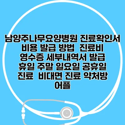 남양주나무요양병원 진료확인서 비용 발급 방법 | 진료비 영수증 세부내역서 발급 | 휴일 주말 일요일 공휴일 진료 | 비대면 진료 약처방 어플