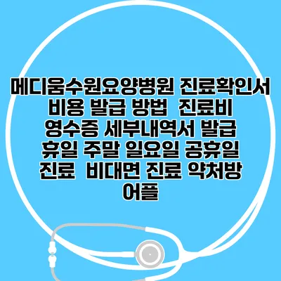 메디움수원요양병원 진료확인서 비용 발급 방법 | 진료비 영수증 세부내역서 발급 | 휴일 주말 일요일 공휴일 진료 | 비대면 진료 약처방 어플