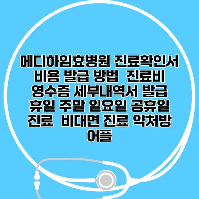 메디하임효병원 진료확인서 비용 발급 방법 | 진료비 영수증 세부내역서 발급 | 휴일 주말 일요일 공휴일 진료 | 비대면 진료 약처방 어플