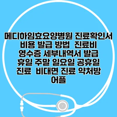 메디하임효요양병원 진료확인서 비용 발급 방법 | 진료비 영수증 세부내역서 발급 | 휴일 주말 일요일 공휴일 진료 | 비대면 진료 약처방 어플