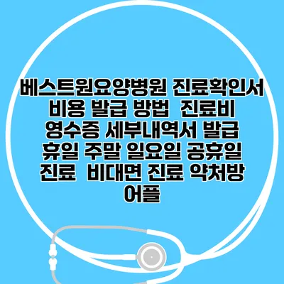 베스트원요양병원 진료확인서 비용 발급 방법 | 진료비 영수증 세부내역서 발급 | 휴일 주말 일요일 공휴일 진료 | 비대면 진료 약처방 어플