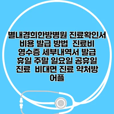 별내경희한방병원 진료확인서 비용 발급 방법 | 진료비 영수증 세부내역서 발급 | 휴일 주말 일요일 공휴일 진료 | 비대면 진료 약처방 어플