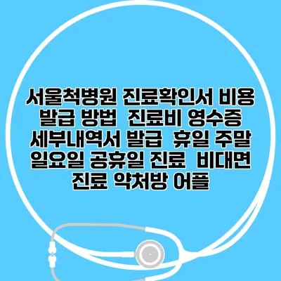 서울척병원 진료확인서 비용 발급 방법 | 진료비 영수증 세부내역서 발급 | 휴일 주말 일요일 공휴일 진료 | 비대면 진료 약처방 어플