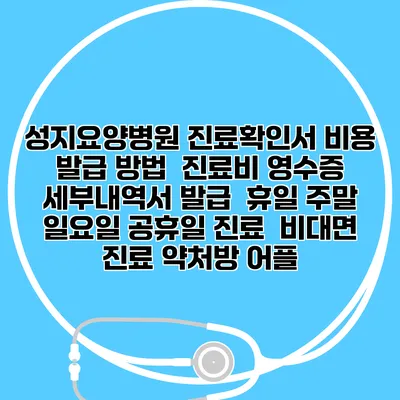 성지요양병원 진료확인서 비용 발급 방법 | 진료비 영수증 세부내역서 발급 | 휴일 주말 일요일 공휴일 진료 | 비대면 진료 약처방 어플