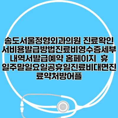 송도서울정형외과의원 진료확인서비용발급방법|진료비영수증세부내역서발급|예약 홈페이지 | 휴일주말일요일공휴일진료|비대면진료약처방어플