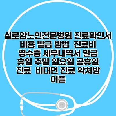 실로암노인전문병원 진료확인서 비용 발급 방법 | 진료비 영수증 세부내역서 발급 | 휴일 주말 일요일 공휴일 진료 | 비대면 진료 약처방 어플