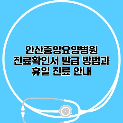 안산중앙요양병원 진료확인서 발급 방법과 휴일 진료 안내