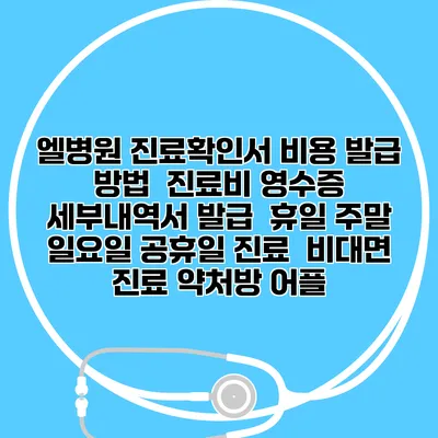 엘병원 진료확인서 비용 발급 방법 | 진료비 영수증 세부내역서 발급 | 휴일 주말 일요일 공휴일 진료 | 비대면 진료 약처방 어플