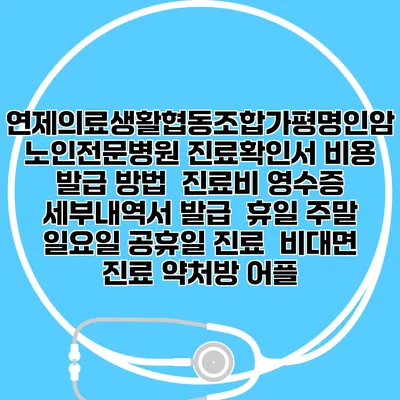 연제의료생활협동조합가평명인암노인전문병원 진료확인서 비용 발급 방법 | 진료비 영수증 세부내역서 발급 | 휴일 주말 일요일 공휴일 진료 | 비대면 진료 약처방 어플