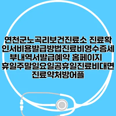 연천군노곡리보건진료소 진료확인서비용발급방법|진료비영수증세부내역서발급|예약 홈페이지 | 휴일주말일요일공휴일진료|비대면진료약처방어플