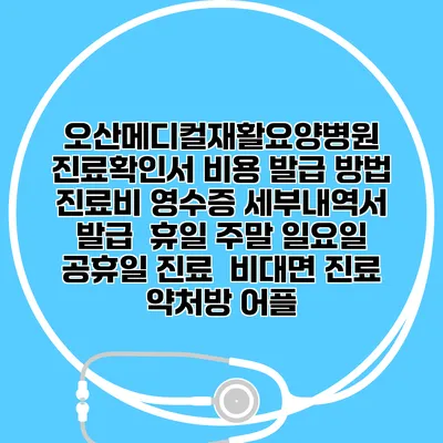 오산메디컬재활요양병원 진료확인서 비용 발급 방법 | 진료비 영수증 세부내역서 발급 | 휴일 주말 일요일 공휴일 진료 | 비대면 진료 약처방 어플