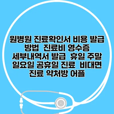 원병원 진료확인서 비용 발급 방법 | 진료비 영수증 세부내역서 발급 | 휴일 주말 일요일 공휴일 진료 | 비대면 진료 약처방 어플