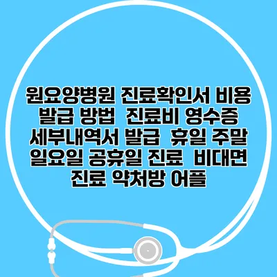 원요양병원 진료확인서 비용 발급 방법 | 진료비 영수증 세부내역서 발급 | 휴일 주말 일요일 공휴일 진료 | 비대면 진료 약처방 어플