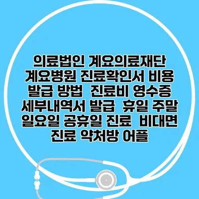 의료법인 계요의료재단 계요병원 진료확인서 비용 발급 방법 | 진료비 영수증 세부내역서 발급 | 휴일 주말 일요일 공휴일 진료 | 비대면 진료 약처방 어플