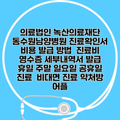 의료법인 녹산의료재단 동수원남양병원 진료확인서 비용 발급 방법 | 진료비 영수증 세부내역서 발급 | 휴일 주말 일요일 공휴일 진료 | 비대면 진료 약처방 어플