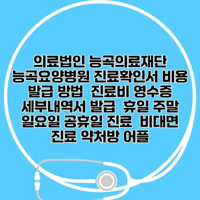 의료법인 능곡의료재단 능곡요양병원 진료확인서 비용 발급 방법 | 진료비 영수증 세부내역서 발급 | 휴일 주말 일요일 공휴일 진료 | 비대면 진료 약처방 어플