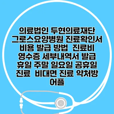 의료법인 두현의료재단 그로스요양병원 진료확인서 비용 발급 방법 | 진료비 영수증 세부내역서 발급 | 휴일 주말 일요일 공휴일 진료 | 비대면 진료 약처방 어플