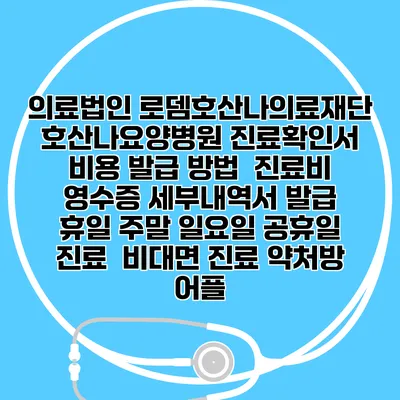 의료법인 로뎀호산나의료재단 호산나요양병원 진료확인서 비용 발급 방법 | 진료비 영수증 세부내역서 발급 | 휴일 주말 일요일 공휴일 진료 | 비대면 진료 약처방 어플