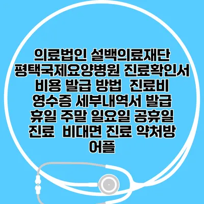 의료법인 설백의료재단 평택국제요양병원 진료확인서 비용 발급 방법 | 진료비 영수증 세부내역서 발급 | 휴일 주말 일요일 공휴일 진료 | 비대면 진료 약처방 어플