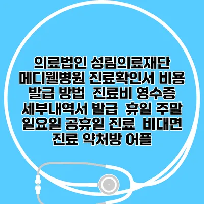 의료법인 성림의료재단 메디웰병원 진료확인서 비용 발급 방법 | 진료비 영수증 세부내역서 발급 | 휴일 주말 일요일 공휴일 진료 | 비대면 진료 약처방 어플