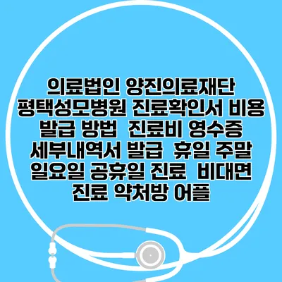 의료법인 양진의료재단 평택성모병원 진료확인서 비용 발급 방법 | 진료비 영수증 세부내역서 발급 | 휴일 주말 일요일 공휴일 진료 | 비대면 진료 약처방 어플