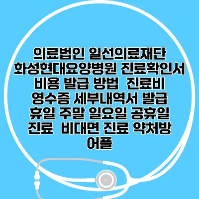 의료법인 일선의료재단 화성현대요양병원 진료확인서 비용 발급 방법 | 진료비 영수증 세부내역서 발급 | 휴일 주말 일요일 공휴일 진료 | 비대면 진료 약처방 어플