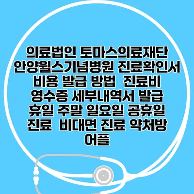 의료법인 토마스의료재단 안양윌스기념병원 진료확인서 비용 발급 방법 | 진료비 영수증 세부내역서 발급 | 휴일 주말 일요일 공휴일 진료 | 비대면 진료 약처방 어플