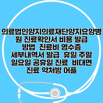 의료법인양지의료재단양지요양병원 진료확인서 비용 발급 방법 | 진료비 영수증 세부내역서 발급 | 휴일 주말 일요일 공휴일 진료 | 비대면 진료 약처방 어플