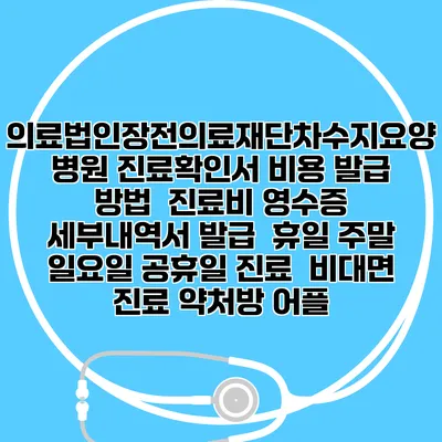 의료법인장전의료재단차수지요양병원 진료확인서 비용 발급 방법 | 진료비 영수증 세부내역서 발급 | 휴일 주말 일요일 공휴일 진료 | 비대면 진료 약처방 어플