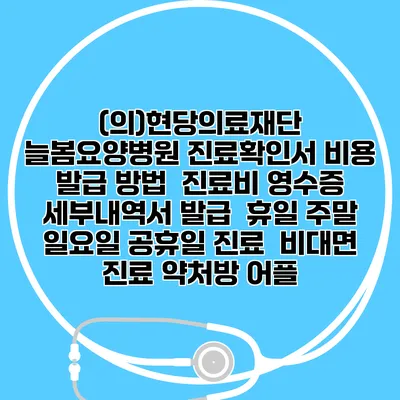 (의)현당의료재단 늘봄요양병원 진료확인서 비용 발급 방법 | 진료비 영수증 세부내역서 발급 | 휴일 주말 일요일 공휴일 진료 | 비대면 진료 약처방 어플