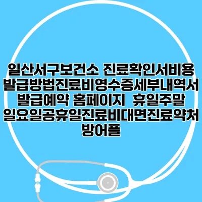 일산서구보건소 진료확인서비용발급방법|진료비영수증세부내역서발급|예약 홈페이지 | 휴일주말일요일공휴일진료|비대면진료약처방어플