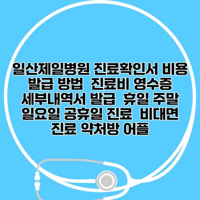 일산제일병원 진료확인서 비용 발급 방법 | 진료비 영수증 세부내역서 발급 | 휴일 주말 일요일 공휴일 진료 | 비대면 진료 약처방 어플