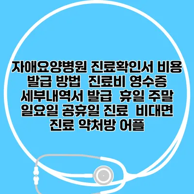 자애요양병원 진료확인서 비용 발급 방법 | 진료비 영수증 세부내역서 발급 | 휴일 주말 일요일 공휴일 진료 | 비대면 진료 약처방 어플