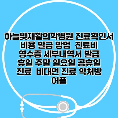 하늘빛재활의학병원 진료확인서 비용 발급 방법 | 진료비 영수증 세부내역서 발급 | 휴일 주말 일요일 공휴일 진료 | 비대면 진료 약처방 어플