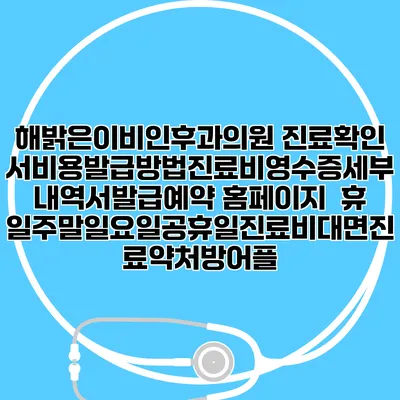 해밝은이비인후과의원 진료확인서비용발급방법|진료비영수증세부내역서발급|예약 홈페이지 | 휴일주말일요일공휴일진료|비대면진료약처방어플