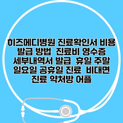 히즈메디병원 진료확인서 비용 발급 방법 | 진료비 영수증 세부내역서 발급 | 휴일 주말 일요일 공휴일 진료 | 비대면 진료 약처방 어플