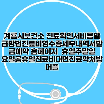 계룡시보건소 진료확인서비용발급방법|진료비영수증세부내역서발급|예약 홈페이지 | 휴일주말일요일공휴일진료|비대면진료약처방어플