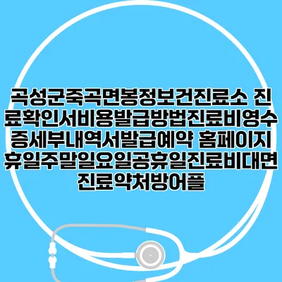 곡성군죽곡면봉정보건진료소 진료확인서비용발급방법|진료비영수증세부내역서발급|예약 홈페이지 | 휴일주말일요일공휴일진료|비대면진료약처방어플